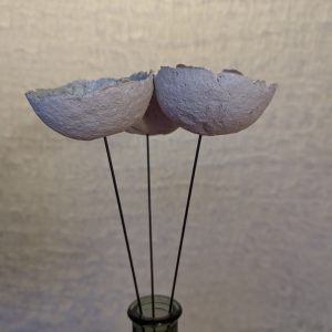 Pulpe-Blumen
