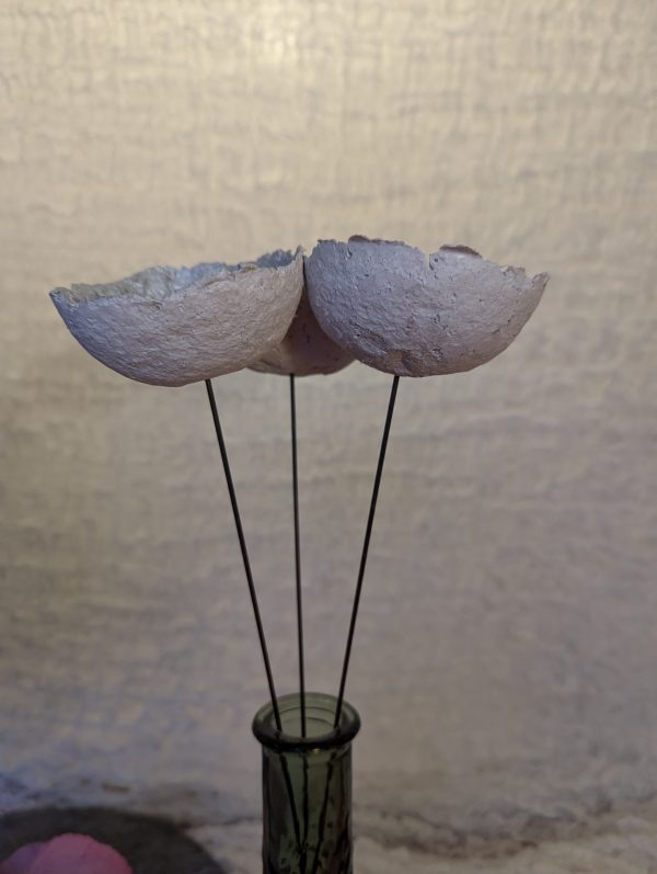 Pulpe-Blumen